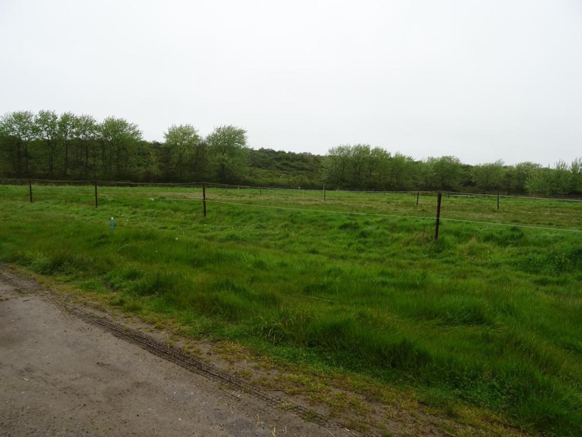 Kustverhuur, Oude Manege Nieuwvliet, Nieuwvliet 1 - 2 Buitenkant foto